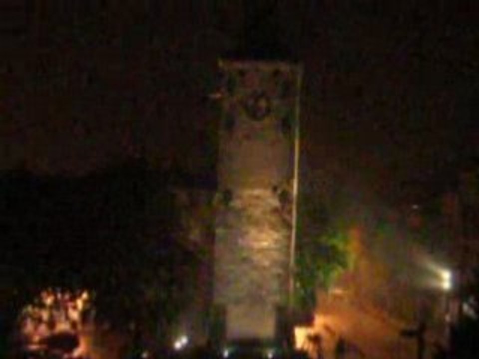 DSCN0331