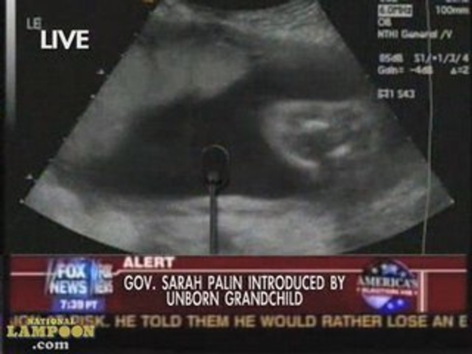 Palin's Daughter's Fetus Speaks at 2008 RNC