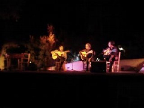 guitarras de granada (españa)