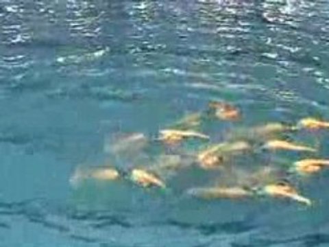 Equipe Aix 2 Natation Synchronisée N1 junior 2008