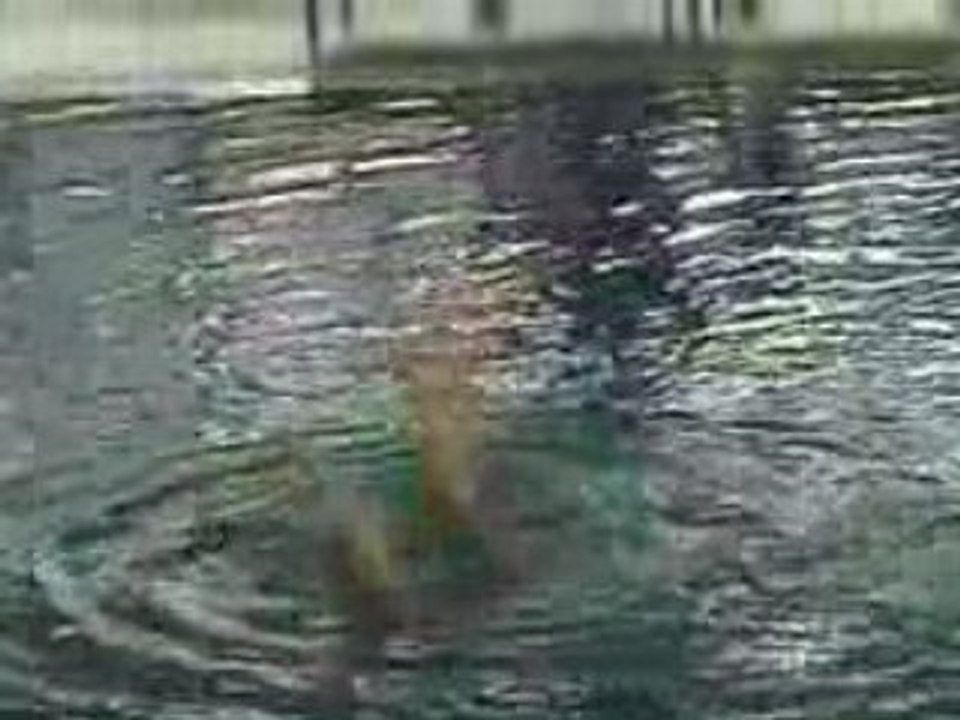 Duo 1 Stade Français Natation Synchronisée N1 junior 2008