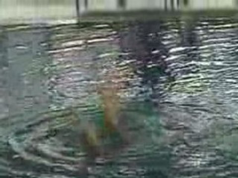 Duo 1 Stade Français Natation Synchronisée N1 junior 2008