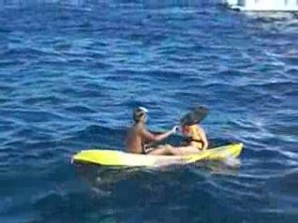 Le saut de guiguiet marine