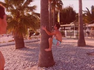 Montage pino été 2008