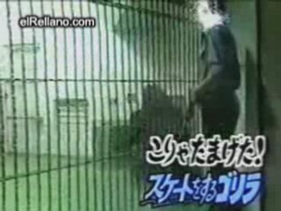 On_a_ retrouvé__Candeloro