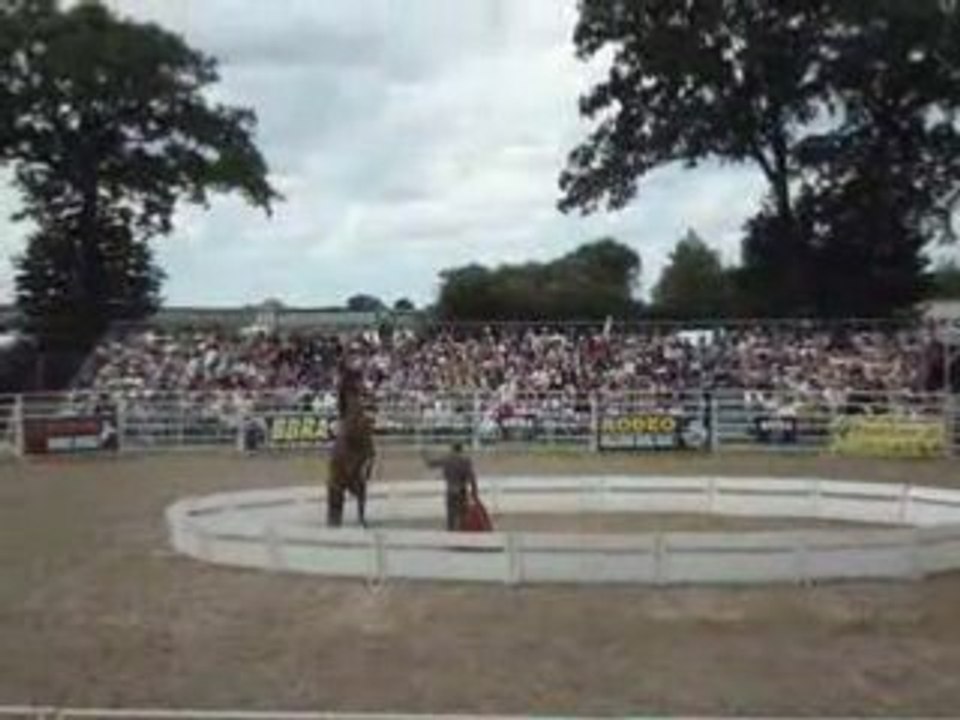 MOV00597