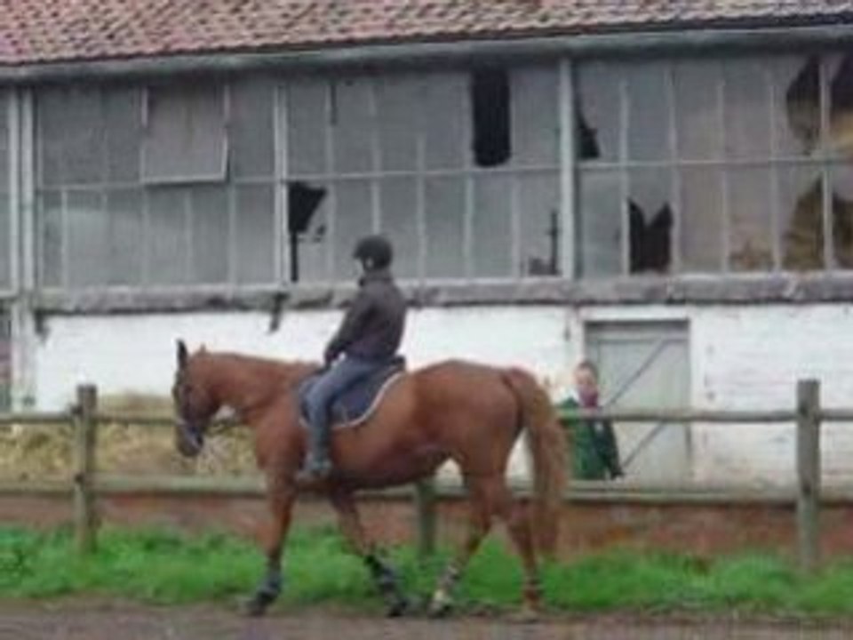 Castillane au travail