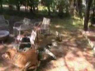 Teaser for Behind the Red District