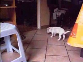 Dernier jour de Dudu chez mamie Bru