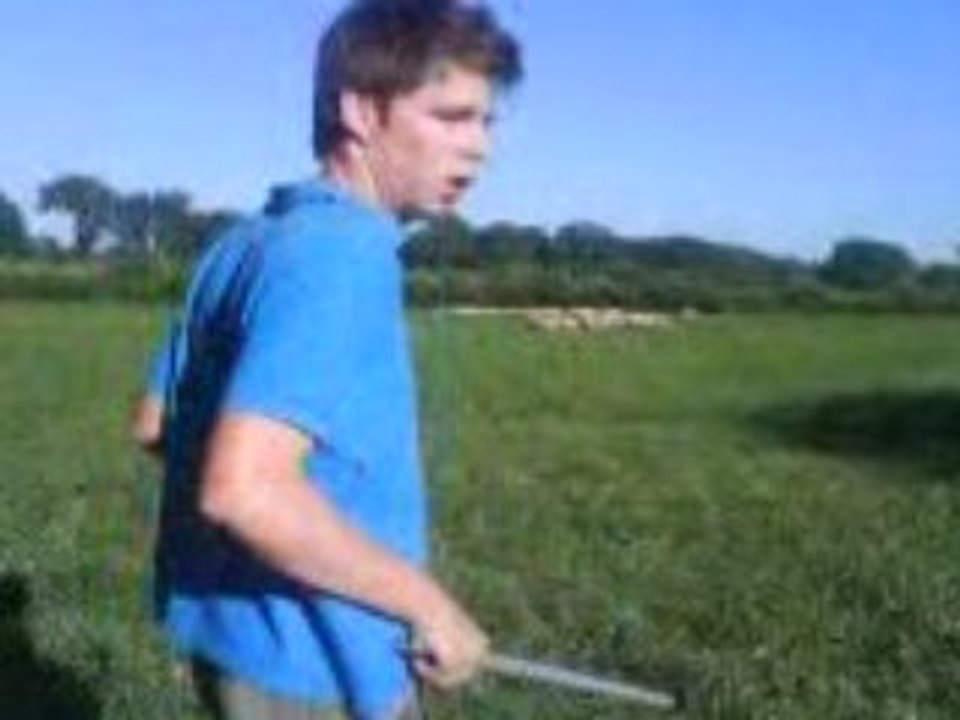 Le BatonnPaintSheep