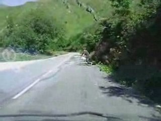 Régis fait du freebord