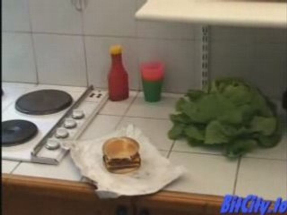 Une histoire de salade