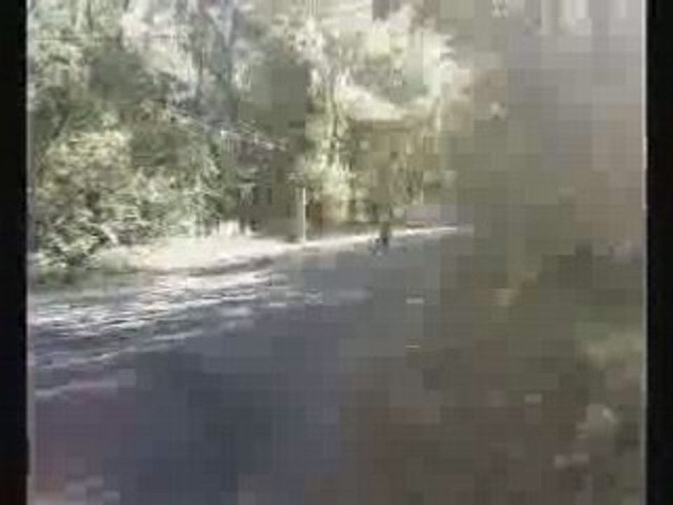 Bws bas moteur nitro