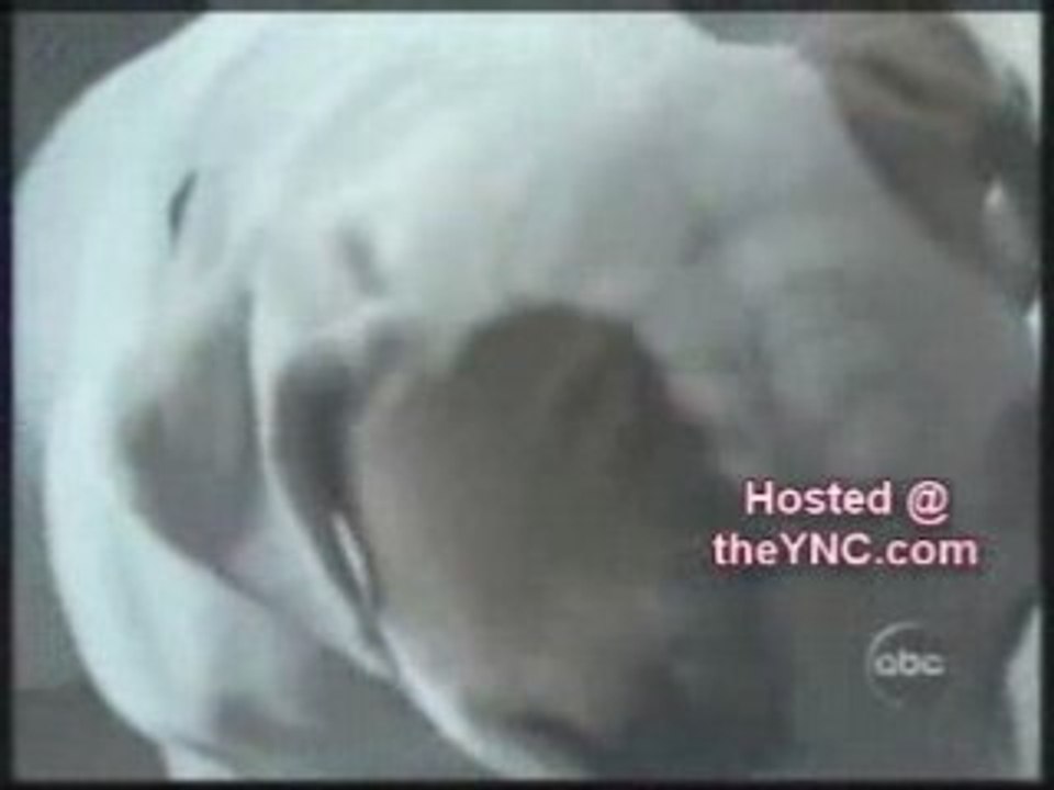 Funny Talking Animals