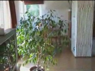 Szellemjárás az új lakásban