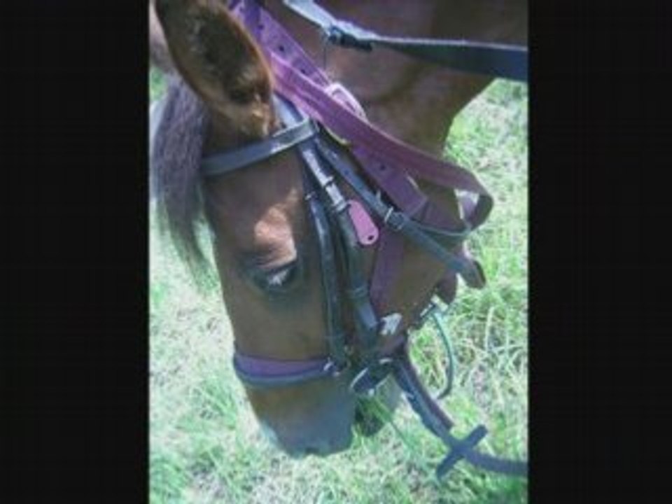 Ponette Moi et Manon