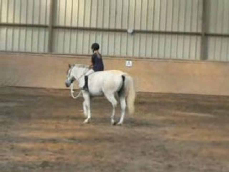 Nairobie au trot