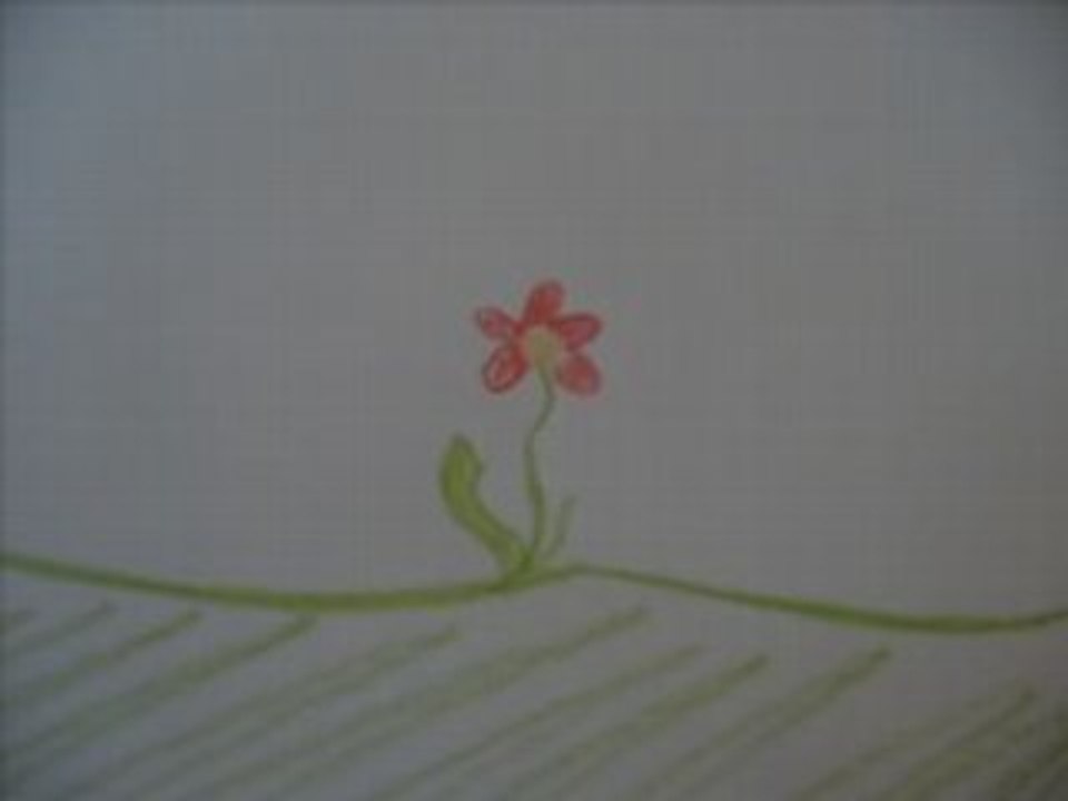 Aimer les fleurs ça donne des couleurs