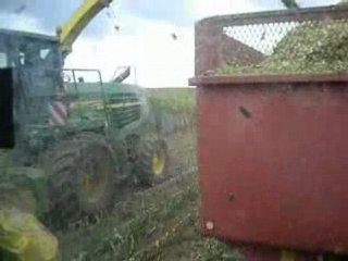 ensilage 2008