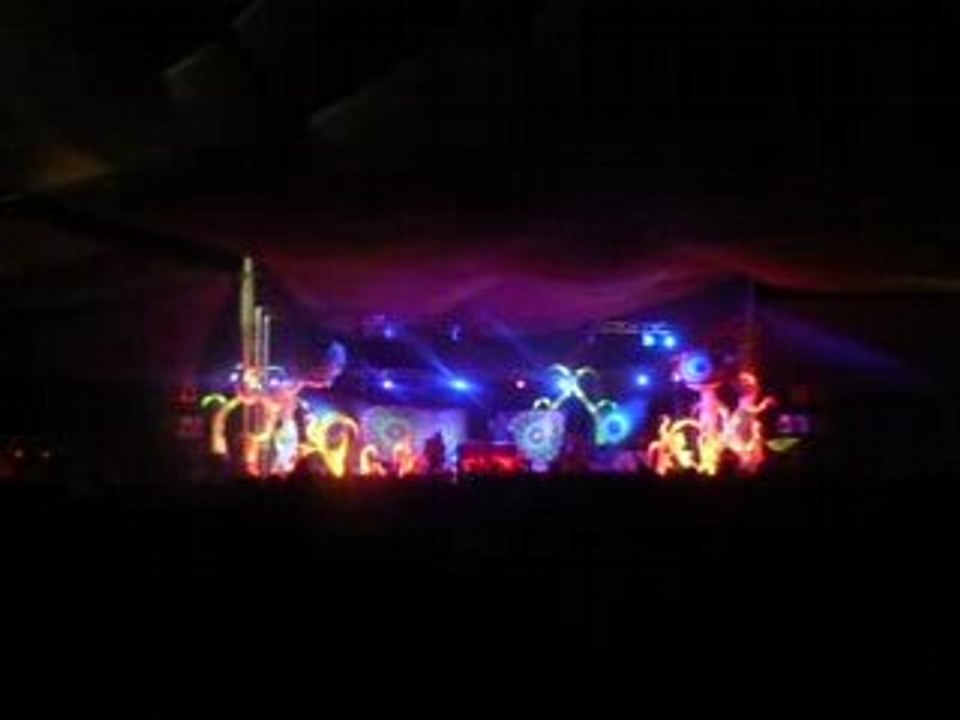 Boom festival 2008