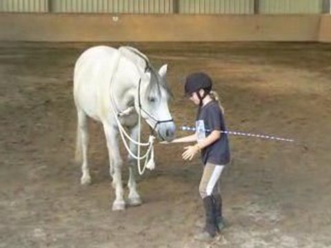 Ethologie avec Nairo