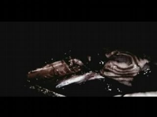 The GazettE - LEECH Annoncement