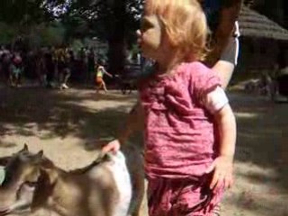 L'enclos des chèvres