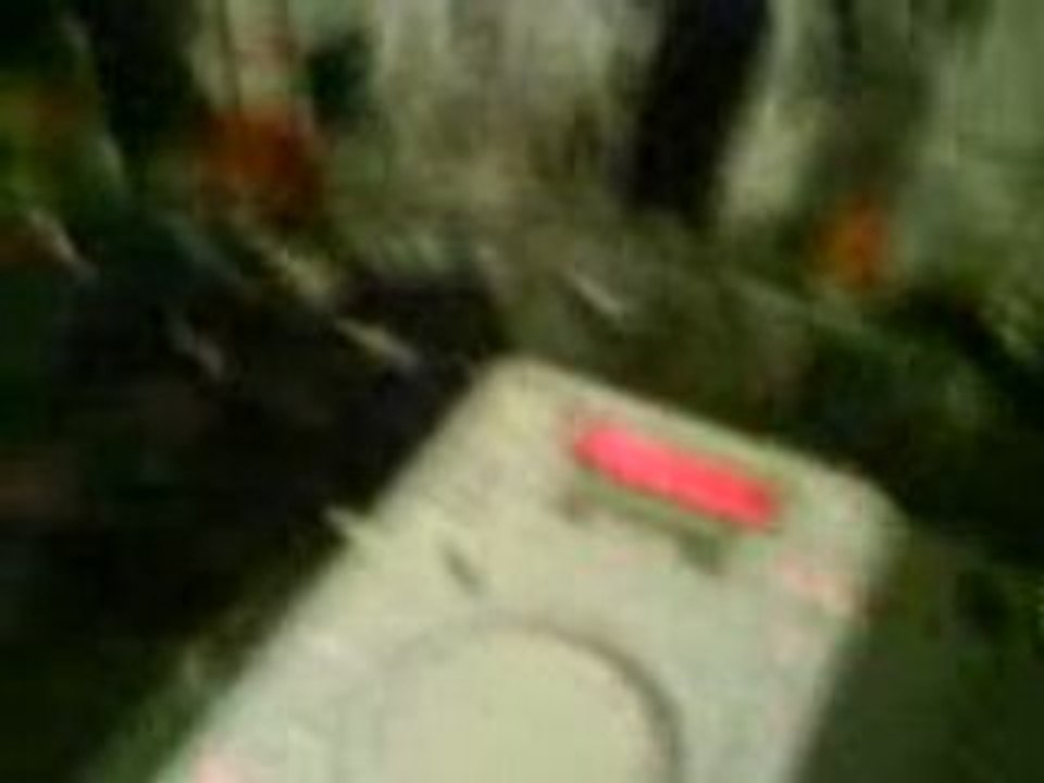 MOV00088