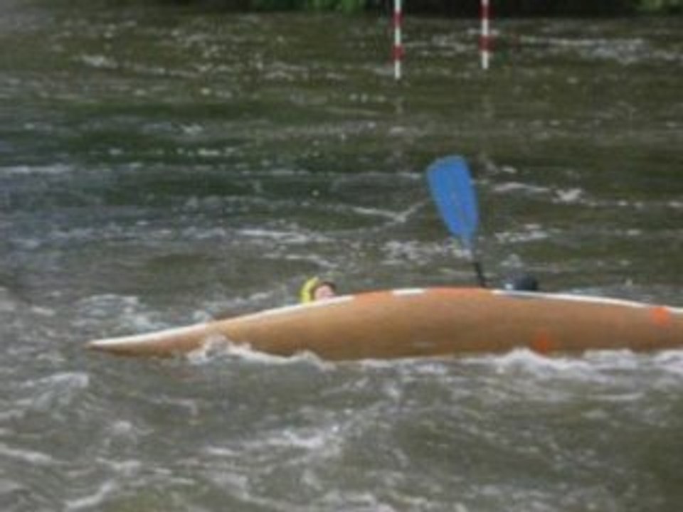 C2 lucho/hippo