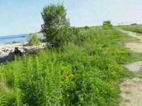 Ontario Getaways: Dundas Peak & Lake Ontario Shoreline(7)