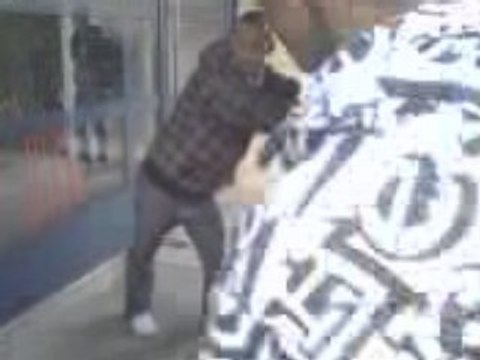 steev pousser dans les fougères