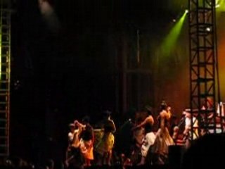 CELTIVAL SOLDAT LOUIS SENONES 2008