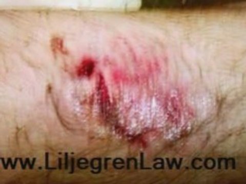 San Diego Escondido North County Estate Planning Lawyer