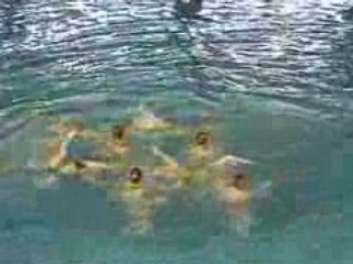 Equipe Aix 1 Natation Synchronisée N1 junior 2008
