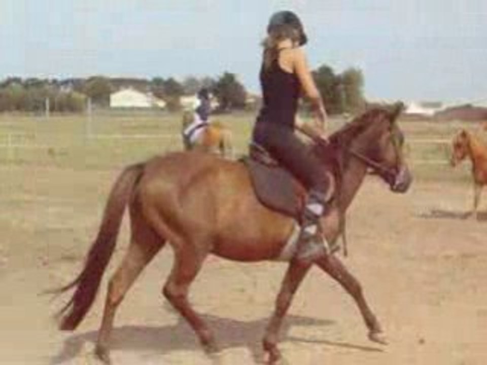 GalOp