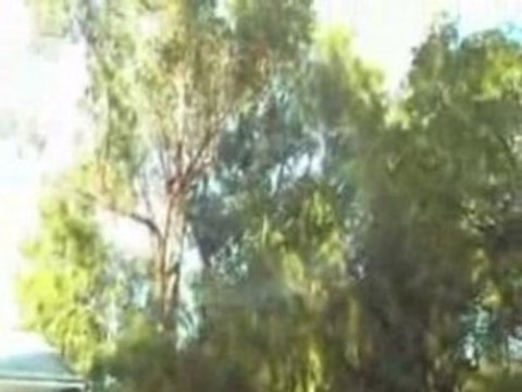 La machine a faire des bulles de fumée