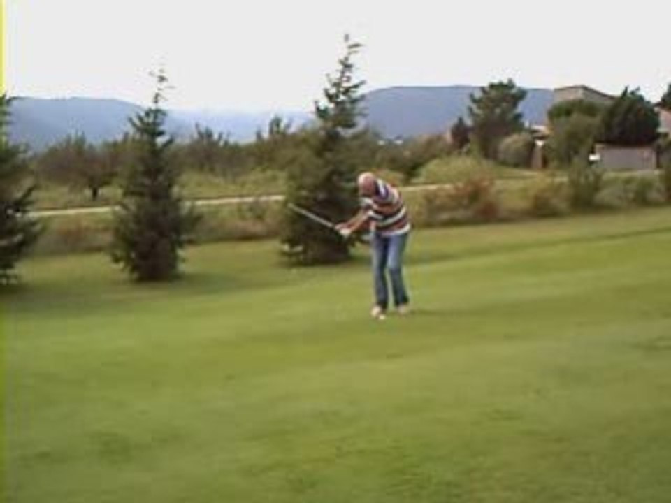 L'élan d'Alain (le géant vert) dit Mr propre