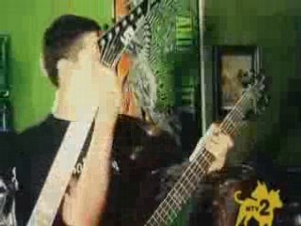 Animosity - Tooth Grinder