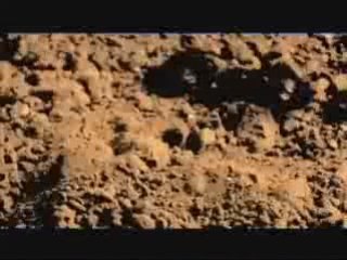 Dj Muggs & Planet Asia  : Pain Language (new)