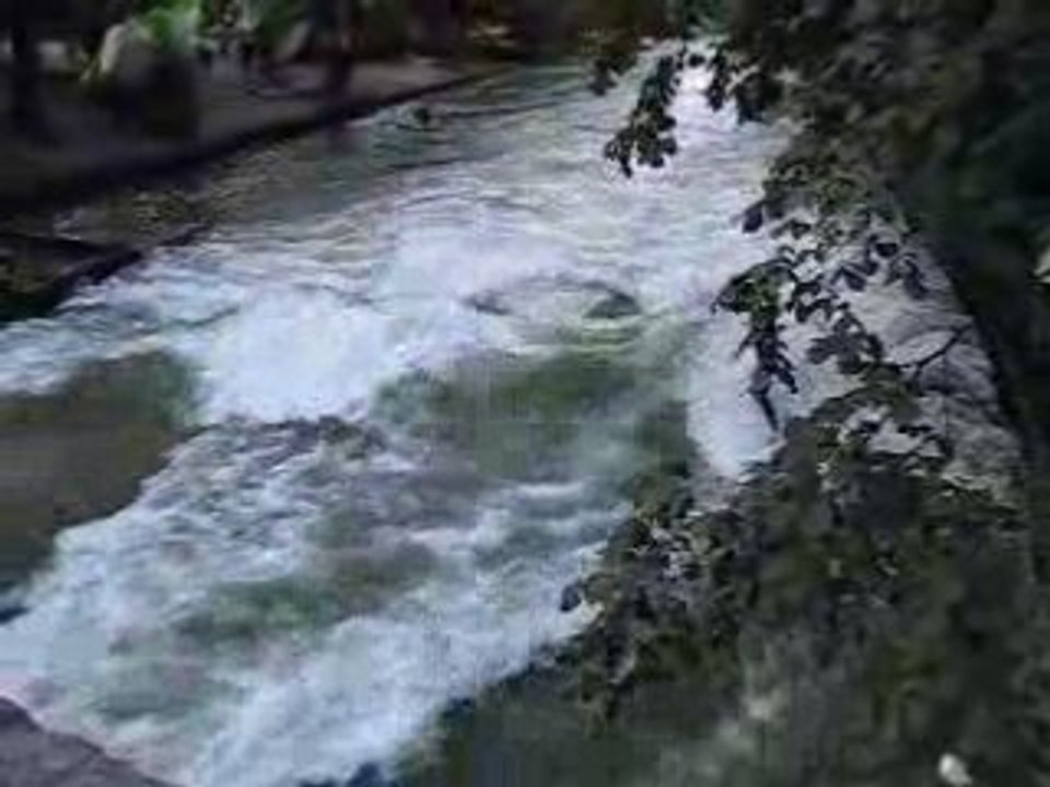 munich surfeurs 2008