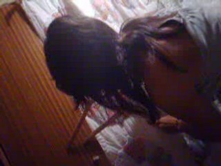 Attaque des moustiques