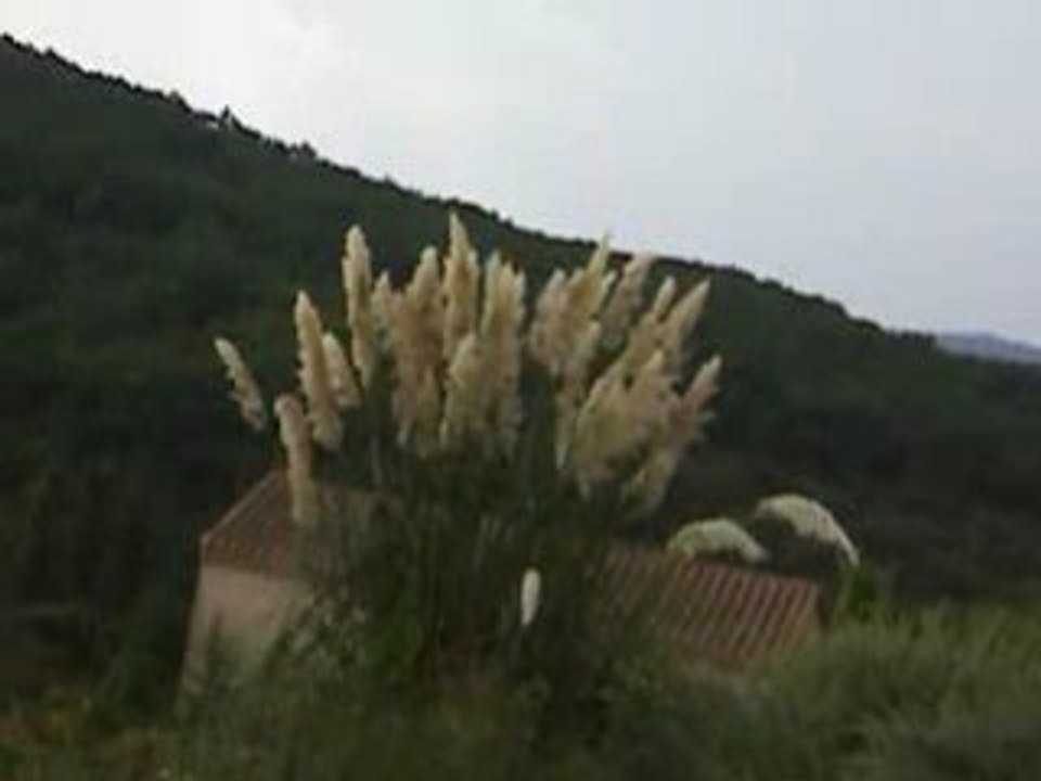 Plumeau