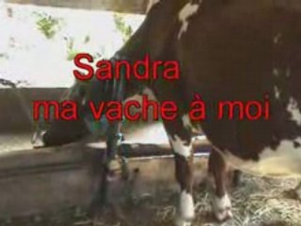 Ma vache en suisse