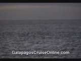 Galapagos Islands Tours Video -Sunset