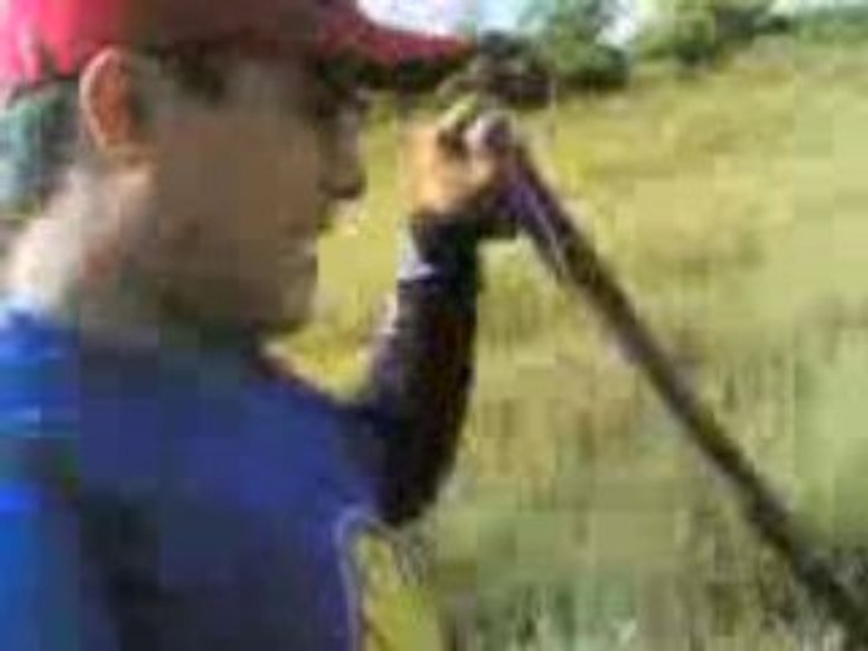 Survivors - Sierra Madre Tree Planting and Expedition