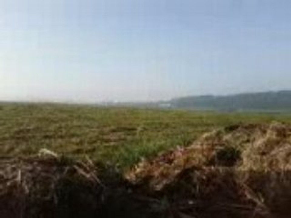 territoire de chasse