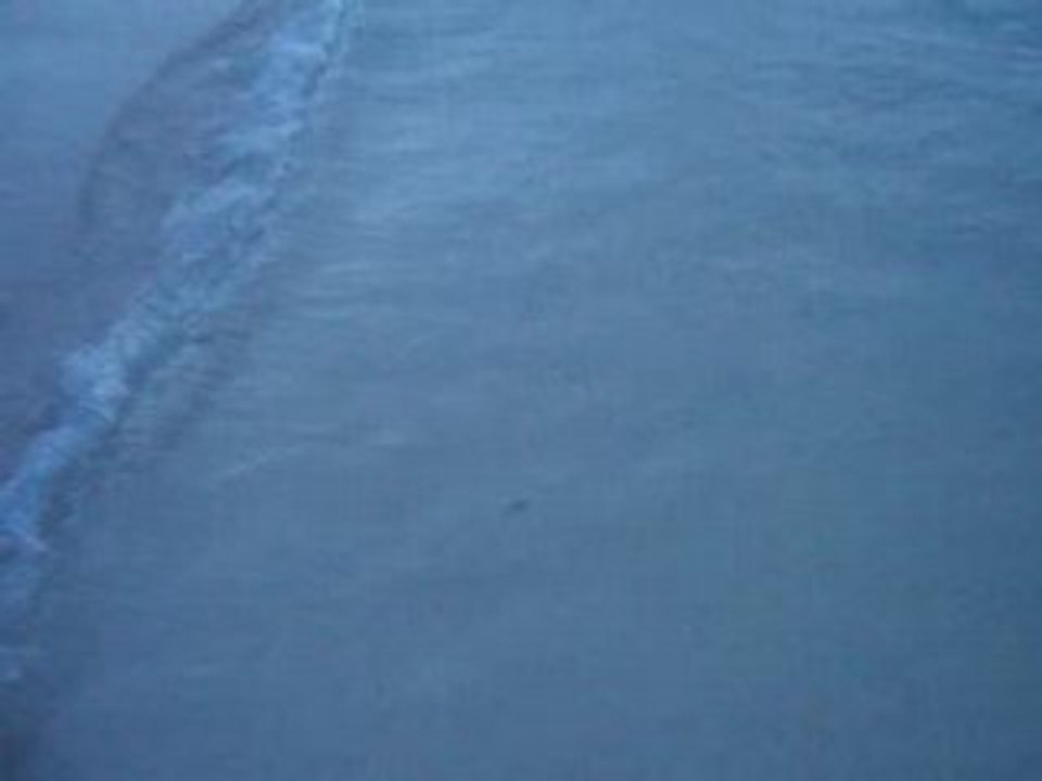 Les vagues.. plage de Punta Cana