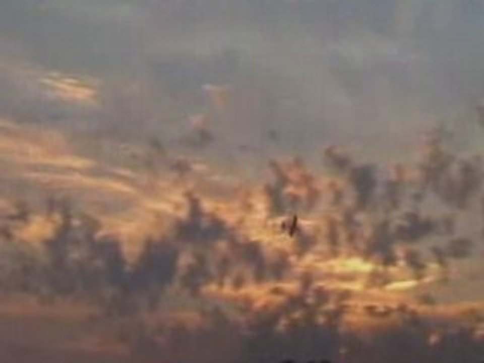 1ères évolutions Easystar