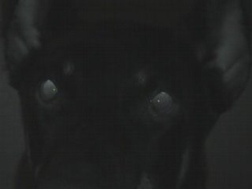 Tony