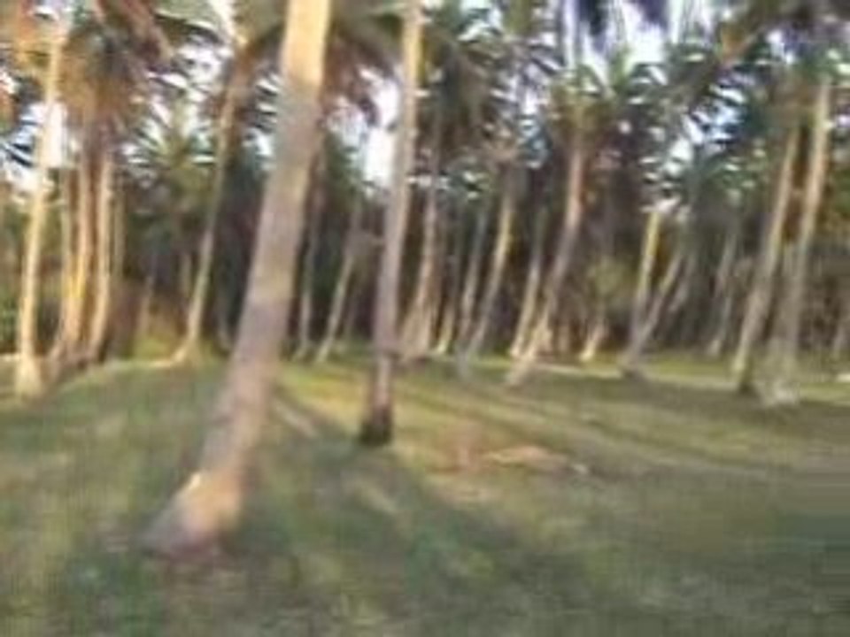 reveil a ouguea